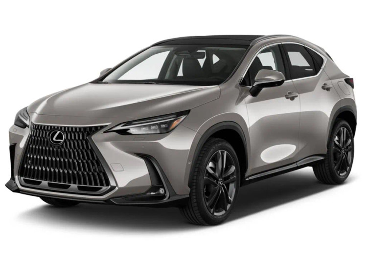 کفپوش چرمی لکسوس (2025/2026) nx350